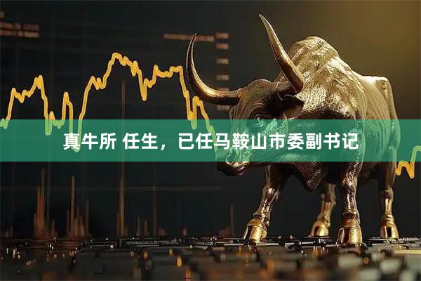 真牛所 任生，已任马鞍山市委副书记