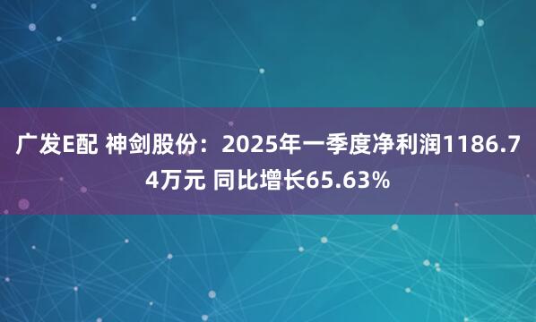 广发E配 神剑股份：2025年一季度净利润1186.74万元 同比增长65.63%