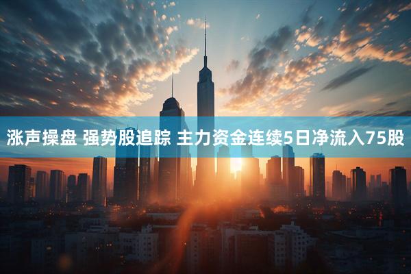 涨声操盘 强势股追踪 主力资金连续5日净流入75股