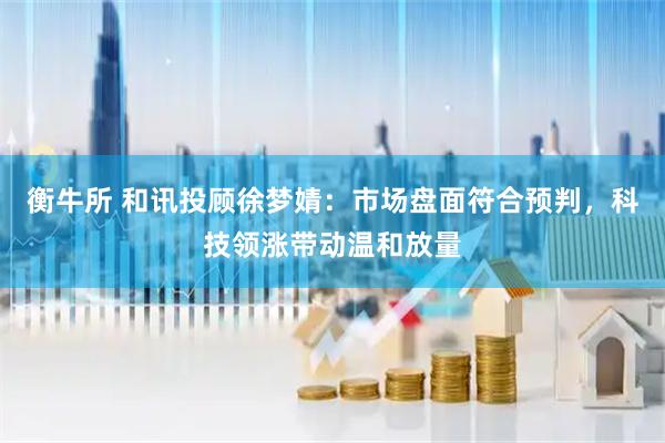 衡牛所 和讯投顾徐梦婧：市场盘面符合预判，科技领涨带动温和放量