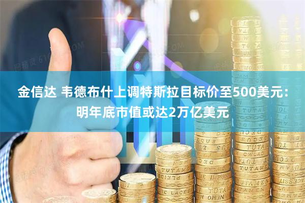 金信达 韦德布什上调特斯拉目标价至500美元：明年底市值或达2万亿美元