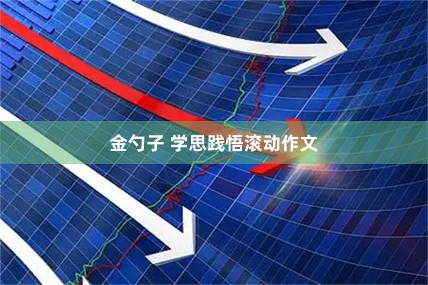 金勺子 学思践悟滚动作文